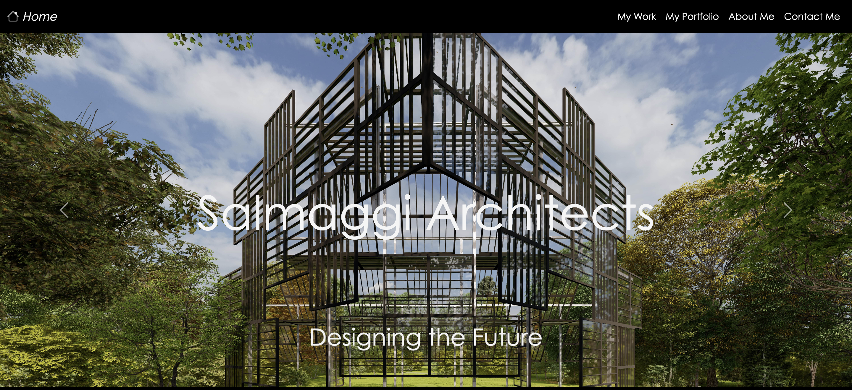 Salmaggi Architects homepage design